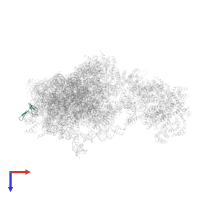 Ubiquitin-ribosomal protein eS31 fusion protein in PDB entry 6w2s, assembly 1, top view.