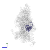 Eukaryotic translation initiation factor 3 subunit A in PDB entry 6w2s, assembly 1, side view.