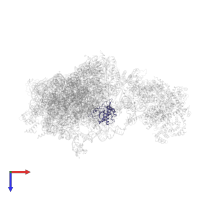 Small ribosomal subunit protein uS2 in PDB entry 6w2s, assembly 1, top view.