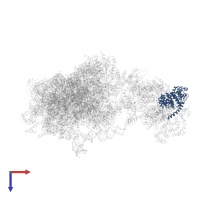 Eukaryotic translation initiation factor 3 subunit M in PDB entry 6w2s, assembly 1, top view.