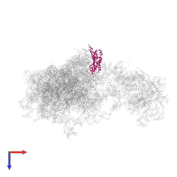 Small ribosomal subunit protein eS1 in PDB entry 6w2s, assembly 1, top view.