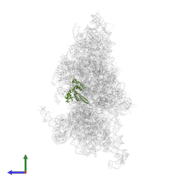 Small ribosomal subunit protein uS5 in PDB entry 6w2s, assembly 1, side view.