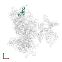 Small ribosomal subunit protein eS8 in PDB entry 6w2s, assembly 1, front view.