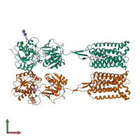 PDB entry 6w2x coloured by chain, front view.