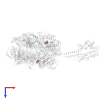ADENOSINE-5'-DIPHOSPHATE in PDB entry 6w6e, assembly 1, top view.
