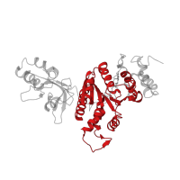 The deposited structure of PDB entry 6wa8 contains 6 copies of Pfam domain PF00006 (ATP synthase alpha/beta family, nucleotide-binding domain) in Transcription termination factor Rho. Showing 1 copy in chain A.