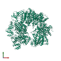 Transcription termination factor Rho in PDB entry 6wa8, assembly 1, front view.