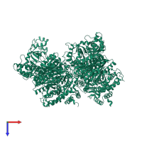 Transcription termination factor Rho in PDB entry 6wa8, assembly 1, top view.