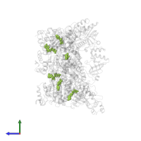 ADENOSINE-5'-TRIPHOSPHATE in PDB entry 6wa8, assembly 1, side view.