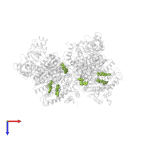 ADENOSINE-5'-TRIPHOSPHATE in PDB entry 6wa8, assembly 1, top view.