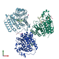 PDB entry 6wbw coloured by chain, front view.