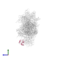 Small ribosomal subunit protein eS12 in PDB entry 6wdr, assembly 1, side view.