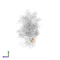 Small ribosomal subunit protein uS19 in PDB entry 6wdr, assembly 1, side view.