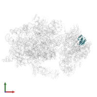 Small ribosomal subunit protein uS9A in PDB entry 6wdr, assembly 1, front view.