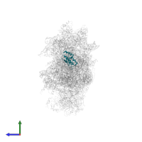 Small ribosomal subunit protein uS9A in PDB entry 6wdr, assembly 1, side view.