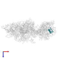 Small ribosomal subunit protein uS9A in PDB entry 6wdr, assembly 1, top view.