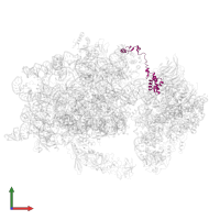 Small ribosomal subunit protein eS17A in PDB entry 6wdr, assembly 1, front view.