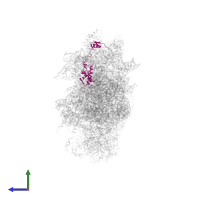 Small ribosomal subunit protein eS17A in PDB entry 6wdr, assembly 1, side view.