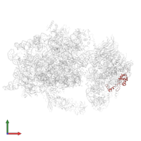 Small ribosomal subunit protein uS13A in PDB entry 6wdr, assembly 1, front view.