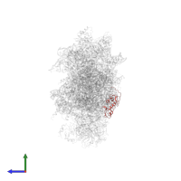 Small ribosomal subunit protein uS13A in PDB entry 6wdr, assembly 1, side view.