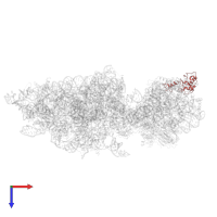 Small ribosomal subunit protein uS13A in PDB entry 6wdr, assembly 1, top view.