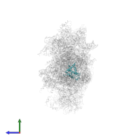 Small ribosomal subunit protein eS19A in PDB entry 6wdr, assembly 1, side view.