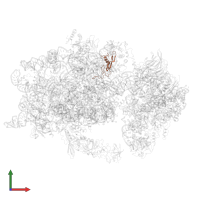 Small ribosomal subunit protein eS21A in PDB entry 6wdr, assembly 1, front view.