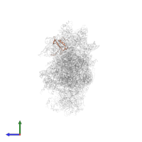 Small ribosomal subunit protein eS21A in PDB entry 6wdr, assembly 1, side view.