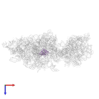 Small ribosomal subunit protein uS8A in PDB entry 6wdr, assembly 1, top view.