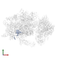 Small ribosomal subunit protein eS24A in PDB entry 6wdr, assembly 1, front view.