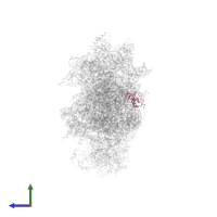 Small ribosomal subunit protein eS25A in PDB entry 6wdr, assembly 1, side view.