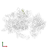 Small ribosomal subunit protein eS27A in PDB entry 6wdr, assembly 1, front view.