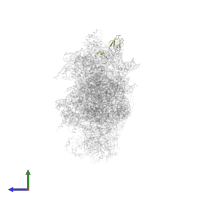 Small ribosomal subunit protein eS27A in PDB entry 6wdr, assembly 1, side view.