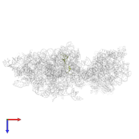 Small ribosomal subunit protein eS27A in PDB entry 6wdr, assembly 1, top view.