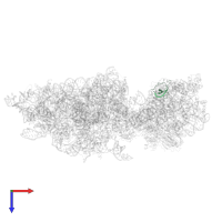Small ribosomal subunit protein eS28A in PDB entry 6wdr, assembly 1, top view.