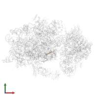 Small ribosomal subunit protein eS30A in PDB entry 6wdr, assembly 1, front view.