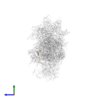 Small ribosomal subunit protein eS30A in PDB entry 6wdr, assembly 1, side view.