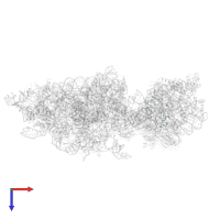 Small ribosomal subunit protein eS31 in PDB entry 6wdr, assembly 1, top view.