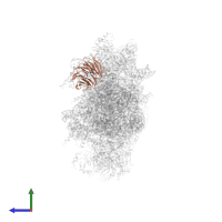 Small ribosomal subunit protein RACK1 in PDB entry 6wdr, assembly 1, side view.