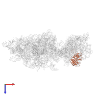 Small ribosomal subunit protein RACK1 in PDB entry 6wdr, assembly 1, top view.