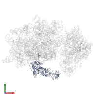 Ribosome biogenesis protein TSR1 in PDB entry 6wdr, assembly 1, front view.