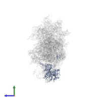 Ribosome biogenesis protein TSR1 in PDB entry 6wdr, assembly 1, side view.