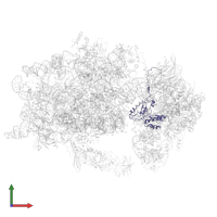 Small ribosomal subunit protein uS3 in PDB entry 6wdr, assembly 1, front view.