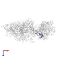 Small ribosomal subunit protein uS3 in PDB entry 6wdr, assembly 1, top view.