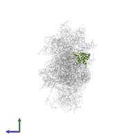 Small ribosomal subunit protein uS7 in PDB entry 6wdr, assembly 1, side view.