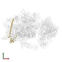 Small ribosomal subunit protein eS6A in PDB entry 6wdr, assembly 1, front view.