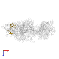 Small ribosomal subunit protein eS6A in PDB entry 6wdr, assembly 1, top view.