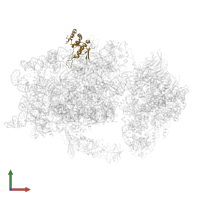 Small ribosomal subunit protein eS7A in PDB entry 6wdr, assembly 1, front view.