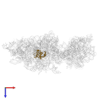 Small ribosomal subunit protein eS7A in PDB entry 6wdr, assembly 1, top view.