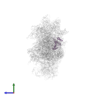 Small ribosomal subunit protein eS8A in PDB entry 6wdr, assembly 1, side view.